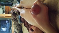Free porn pics of Gallery 1 95 of 997 pics