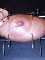 Free porn pics of BDSM Sex torture gifs and pics 2 8 of 617 pics