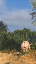 Free porn pics of Right place, right moment 56 of 564 pics