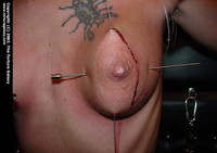 Free porn pics of Tits I like 06 30 of 1000 pics