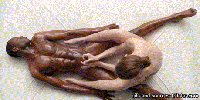 Free porn pics of Accept defeat and be grateful you can watch 23 of 40 pics