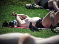 Free porn pics of Topless tanning on city park  52 of 104 pics