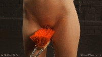 Free porn pics of BDSM Sex torture gifs and pics 2 67 of 617 pics