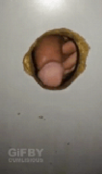 Free porn pics of  Sissy Stories and Captions saved from xHam 2 10 of 802 pics