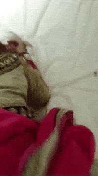 Free porn pics of Indian desi aunty 20 of 611 pics