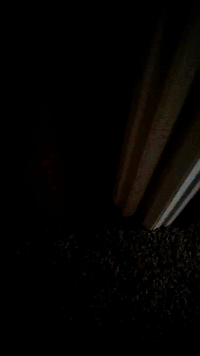 Free porn pics of cuck fav sight 89 of 185 pics