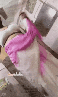 Free porn pics of Indian desi aunty 60 of 611 pics