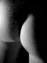 Free porn pics of Big Ass Gallery 83 of 393 pics