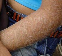 Free porn pics of women with hairy arms 1 of 22 pics