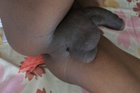 Free porn pics of Black Tranny Mix 5 94 of 479 pics