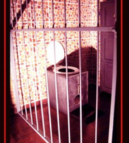 Free porn pics of Home, SweetBitter FemdomSlave Home 50 of 183 pics