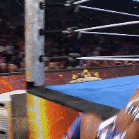 Free porn pics of women of wrestling gifs 3 41 of 80 pics