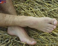 Free porn pics of Jan Krasny 17 of 253 pics