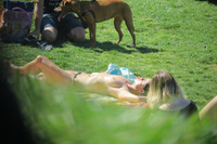 Free porn pics of Topless tanning on city park  83 of 104 pics