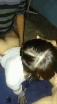 Free porn pics of egirlsxhub (RedGifs) 2 77 of 1000 pics