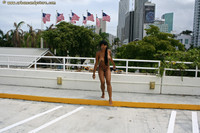 Free porn pics of UrbanCandyStore - Cyan - Nude Strolling Around Miami 16 of 500 pics