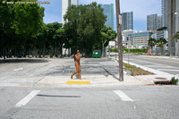 Free porn pics of UrbanCandyStore - Cyan - Nude Strolling Around Miami 22 of 500 pics