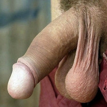 Free porn pics of Balls that I would like to empty 2 of 31 pics