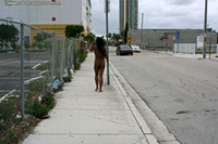 Free porn pics of UrbanCandyStore - Cyan - Nude Strolling Around Miami 24 of 500 pics