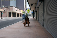 Free porn pics of UrbanCandyStore - Cyan - Nude Strolling Around Miami 18 of 500 pics