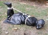 Free porn pics of Rubber boots wellies ridingboots bottes de caoutchouc 17 of 137 pics