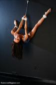 Free porn pics of Cute in blue tied up hanging 65 of 105 pics