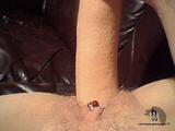 Free porn pics of Perfectly Pierced  36 of 187 pics