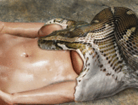 Free porn pics of Realistic Photomanip Vore 19 of 110 pics