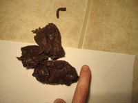 Free porn pics of Thick Knobby Pizza Log Closeup 11-15-2011 17 of 23 pics