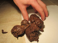 Free porn pics of Thick Knobby Pizza Log Closeup 11-15-2011 18 of 23 pics