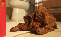 Free porn pics of  Big Thick Soft Grainy Pile 9-10-2011 16 of 25 pics