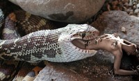 Free porn pics of Realistic Photomanip Vore 74 of 110 pics
