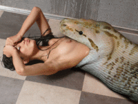 Free porn pics of Realistic Photomanip Vore 33 of 110 pics