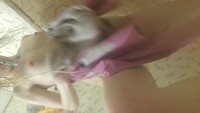 Free porn pics of Fav Wifey Pics #3 28 of 51 pics