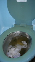 Free porn pics of Toilet and Pissoir Mix 08 (WARNING DELICIOUS SCAT INSIDE) 8 of 200 pics