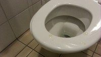 Free porn pics of Toilet and Pissoir Mix 08 (WARNING DELICIOUS SCAT INSIDE) 31 of 200 pics