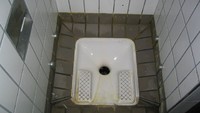 Free porn pics of Toilet and Pissoir Mix 08 (WARNING DELICIOUS SCAT INSIDE) 15 of 200 pics