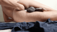 Free porn pics of Various GIF-pics 23 of 250 pics