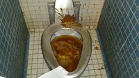 Free porn pics of Toilet and Pissoir Mix 08 (WARNING DELICIOUS SCAT INSIDE) 15 of 200 pics