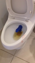 Free porn pics of Toilet and Pissoir Mix 08 (WARNING DELICIOUS SCAT INSIDE) 82 of 200 pics