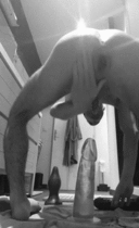Free porn pics of Various GIF-pics 65 of 250 pics