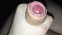 Free porn pics of Various GIF-pics 18 of 250 pics