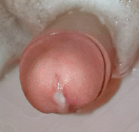 Free porn pics of Various GIF-pics 7 of 250 pics