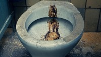 Free porn pics of Toilet and Pissoir Mix 08 (WARNING DELICIOUS SCAT INSIDE) 23 of 200 pics