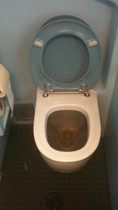 Free porn pics of Toilet and Pissoir Mix 08 (WARNING DELICIOUS SCAT INSIDE) 18 of 200 pics