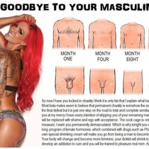 Free porn pics of Mistress Alice's Femdom Rules captions 5 of 27 pics