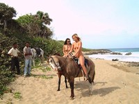 Free porn pics of She Horses! 69 of 112 pics